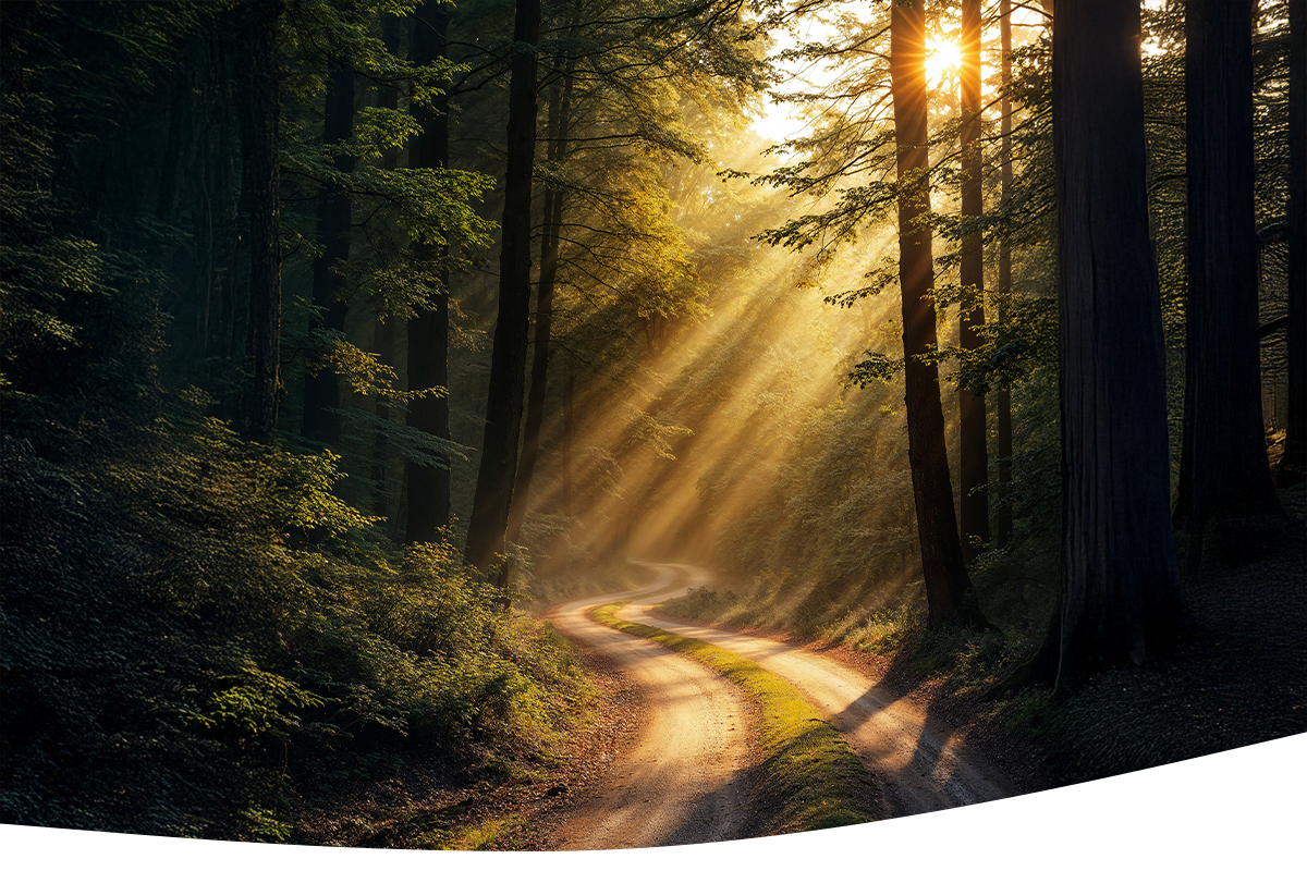 mnenje-2 https://msm-mocsonca.si/wp-content/uploads/2025/07/mnenje-2.png